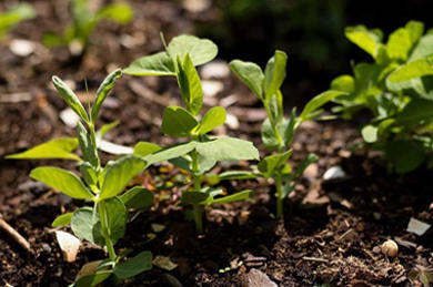 江阴市华达涤塑有限公司